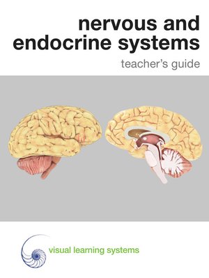cover image of Nervous and Endocrine Systems Teacher's Guide